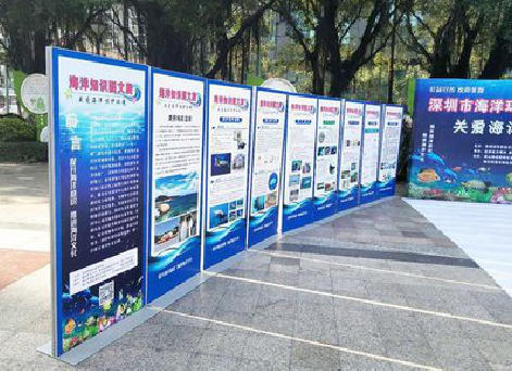 随州KT板的种类和知识。